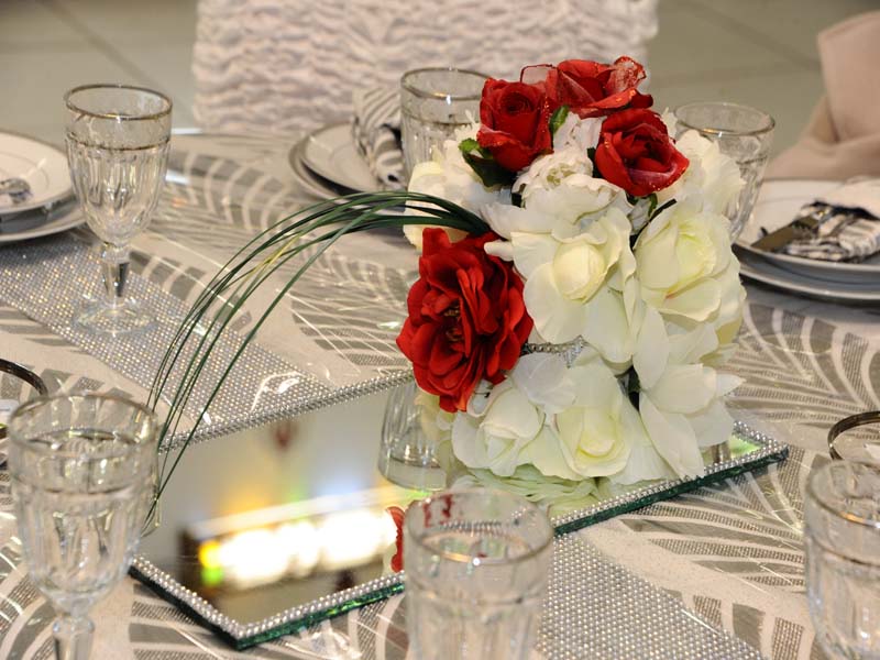 Nocéale_06700 SAINT LAURENT DU VAR_14